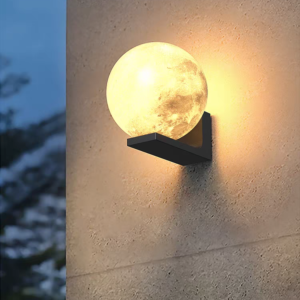 The Moon