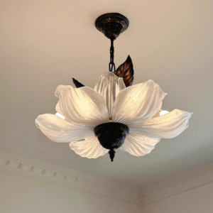 Ceiling Light Fixtures